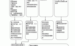 人伤流程管理（人伤分级标准）