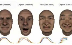 表情艺术的顶峰是什么（何谓表情艺术）