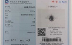 NGTC遵循什么标准（ngtc等级）