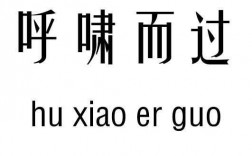 呼啸而过是什么数字（呼啸而过是成语吗?）