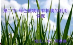 绿色有什么用处（绿色对人体有什么好处）