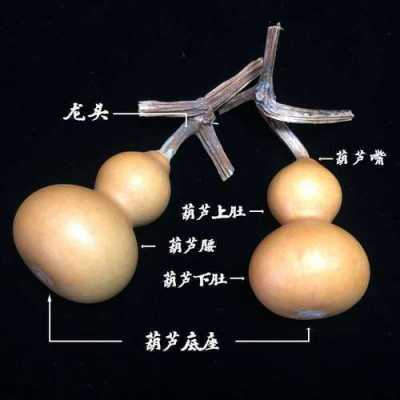 葫芦龙头造型什么样（葫芦龙头造型视频）-图2