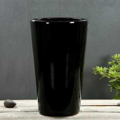黑色陶瓷花瓶配什么花（黑色陶瓷花盆搭配什么植物）-图1