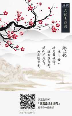 什么石梅花气概（王安石梅花什么的梅花）-图3