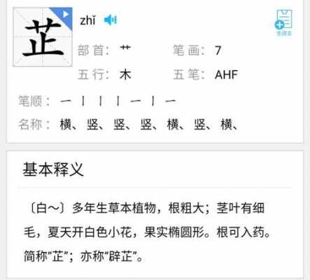 芷画是什么意思（芷有什么意思）-图1