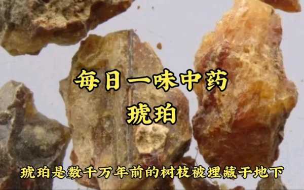 中药琥珀是治疗什么作用（中药琥珀的作用和副作用）-图3