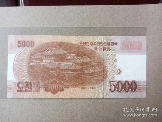 5000朝鲜圆能买什么（朝鲜5000元可以买什么）-图3