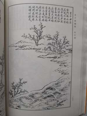 芥子园画谱什么价格（芥子园画谱老版本价值多少钱）-图2