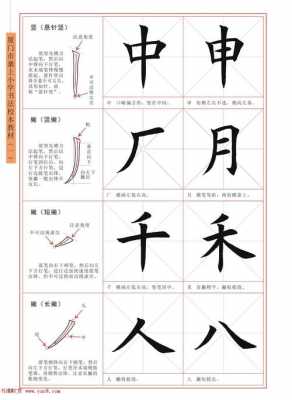 初学书法用什么字帖（初学书法用什么笔比较好）-图2