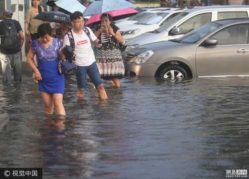 哈尔滨什么地方发大水（哈尔滨哪里发大水了）-图1