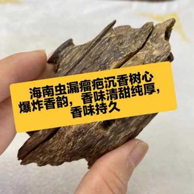 沉香虫漏是什么树（沉香虫漏有什么用）-图1