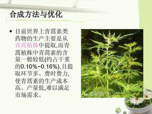 请问什么叫合成青（什么叫合成,合成的意义有哪些?）-图1