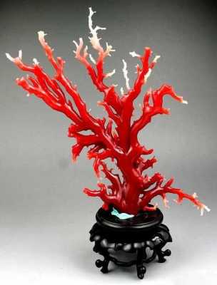 红珊瑚象征什么意思（红珊瑚的寓意和象征）-图2