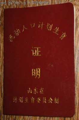 计生证安徽什么样（安徽计划生育证明样本）-图3