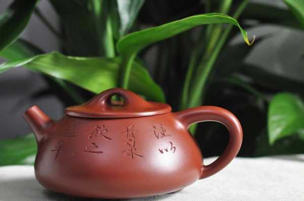 紫砂茶具泡什么茶（紫砂壶泡茶什么茶）-图3