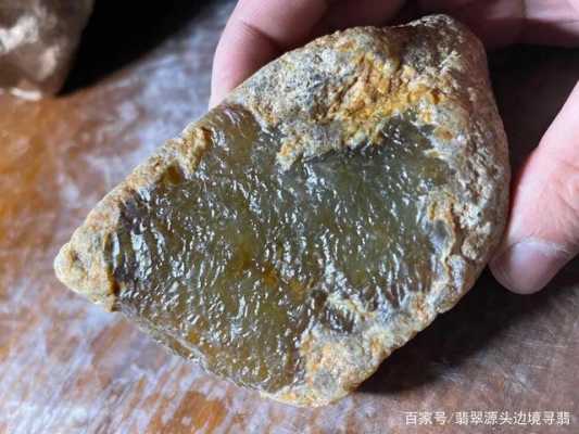 大马坎黄皮出什么肉（大马坎黄皮水石）-图3