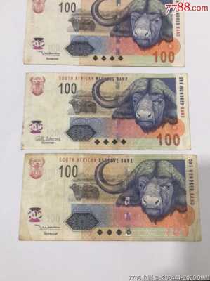 南非币是什么样子（南非货币简写）-图1