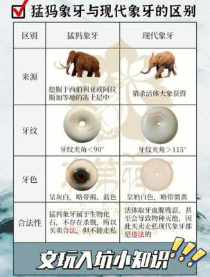 象牙和猛犸象牙什么价（象牙和猛犸象牙那个好）-图1