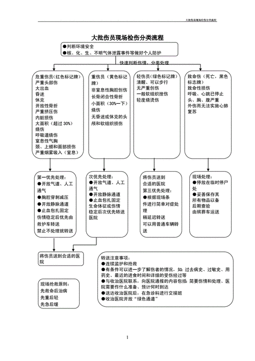 人伤流程管理（人伤分级标准）-图1